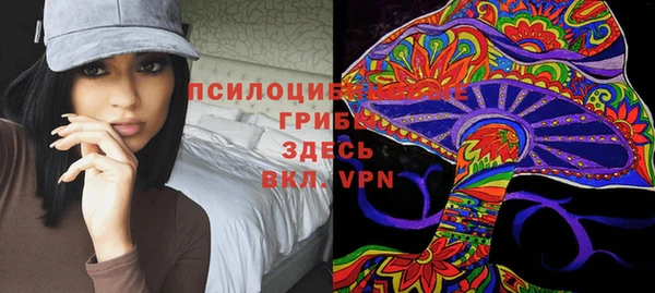 а пвп мука Арсеньев