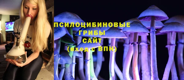 а пвп мука Арсеньев